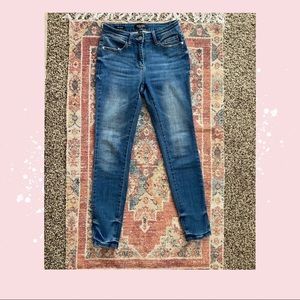 Judy Blue Skinny Fit Jeans